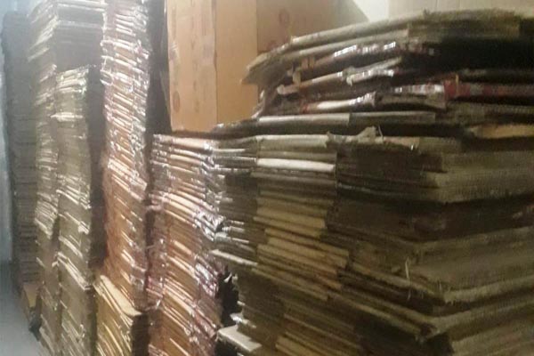 RidGo Packers and Movers Hyderabad - ridgopackers.in
